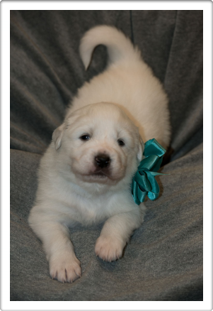 Capture One Session0085_1